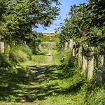 Semesterbostad 408-vestervig-blishonevej-18 *